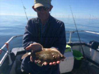 1 lb 5 oz Plaice by Simon