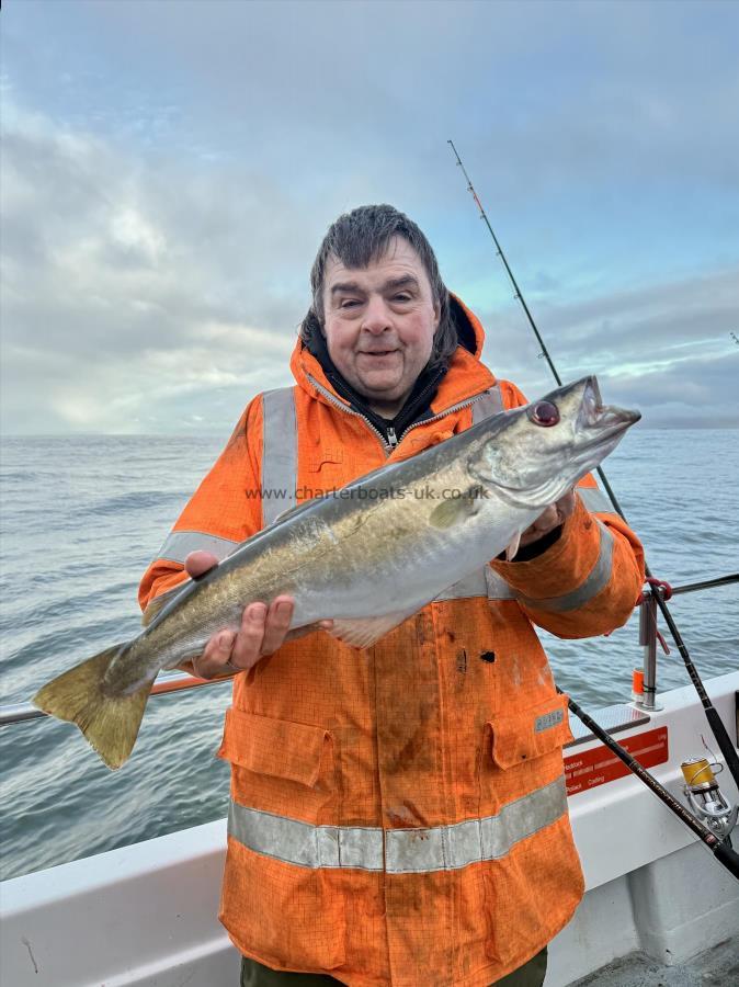 4 lb 8 oz Pollock by Rich Winship