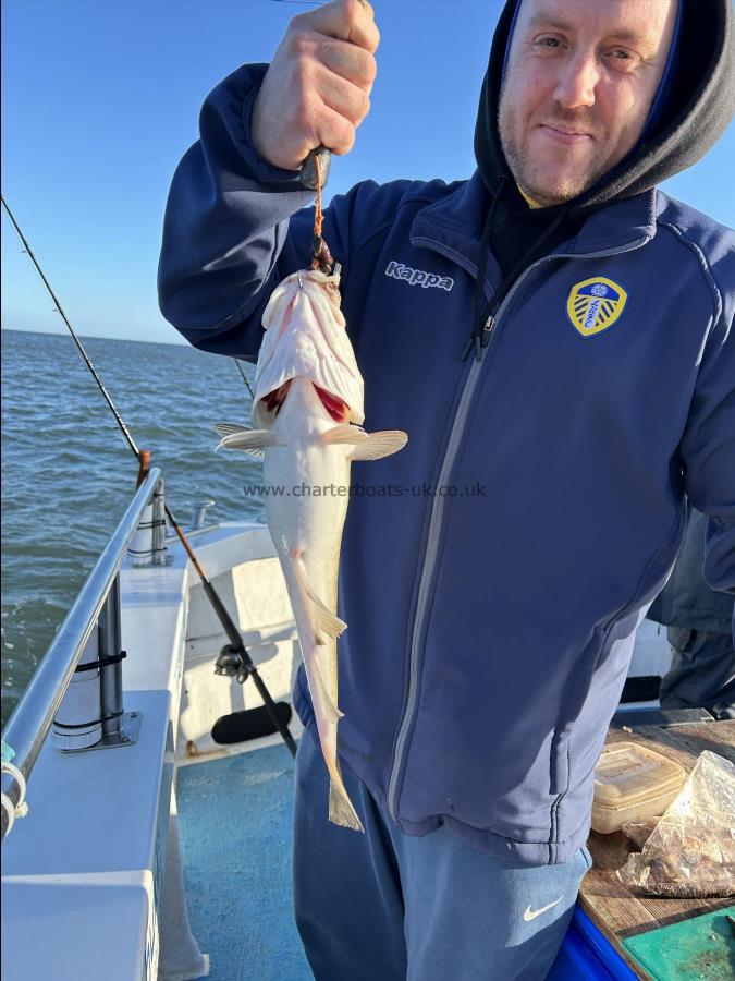 2 lb 5 oz Cod by Joe.