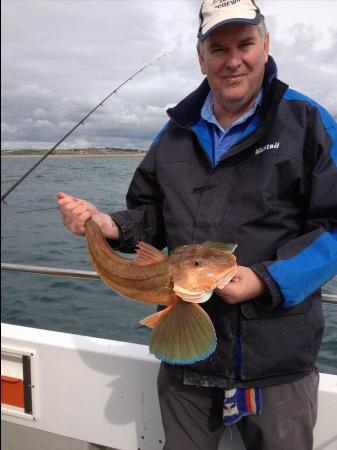 4 lb 4 oz Tub Gurnard by mike