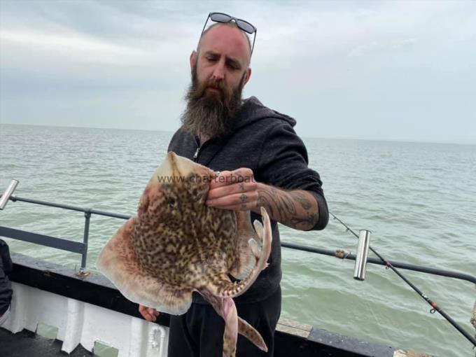 5 lb Thornback Ray by Unknown