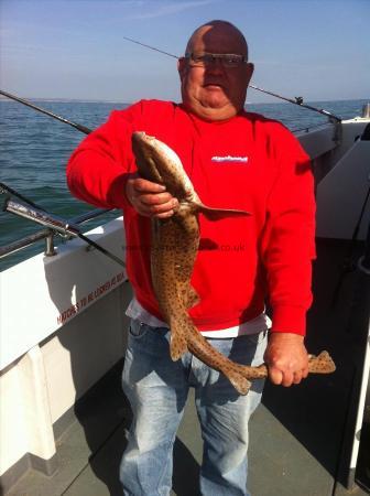 11 lb 8 oz Bull Huss by di