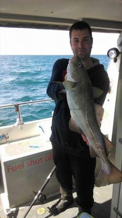 7 lb 8 oz Cod by Unknown