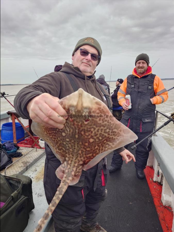 6 lb Thornback Ray by Reg