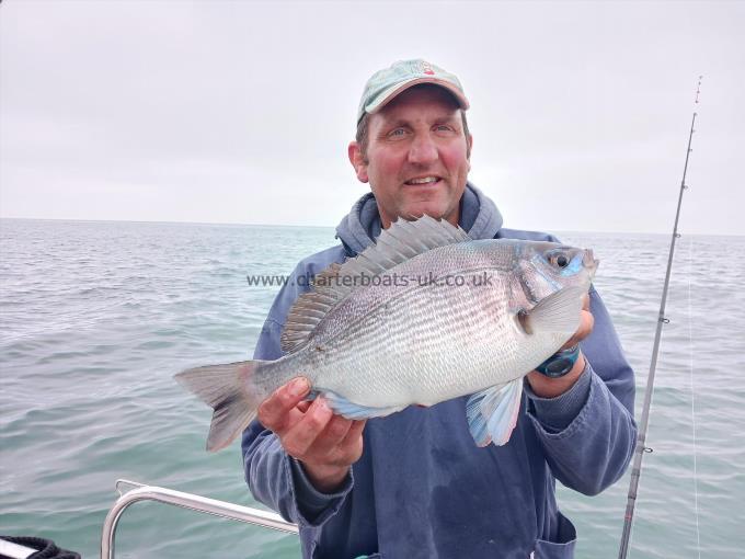 3 lb 6 oz Black Sea Bream by Jackson