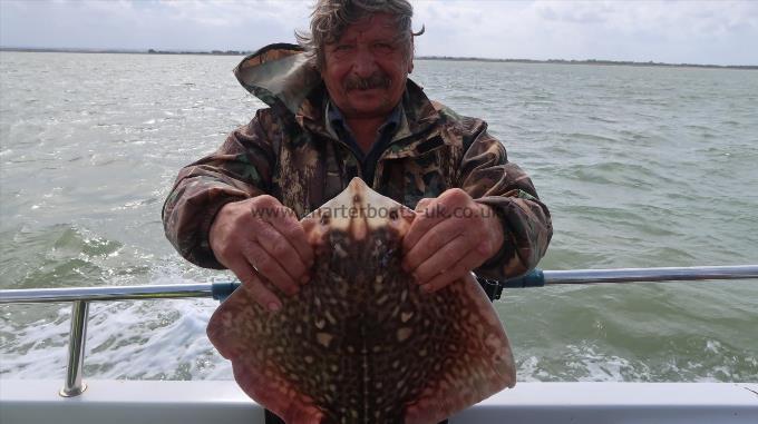 4 lb 5 oz Thornback Ray by Unknown