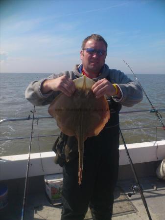 7 lb Small-Eyed Ray by mike cardwell