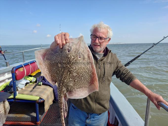 9 lb Thornback Ray by Nobby