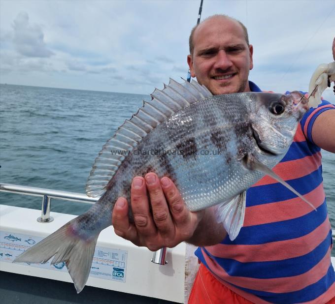 2 lb Black Sea Bream by Unknown