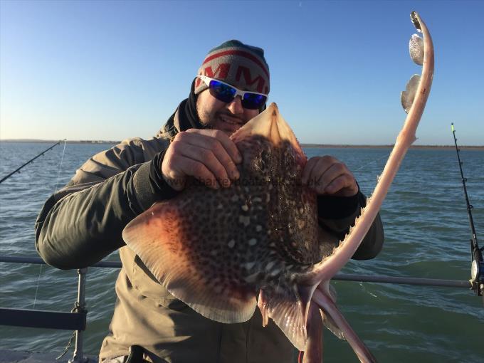 6 lb Thornback Ray by Unknown