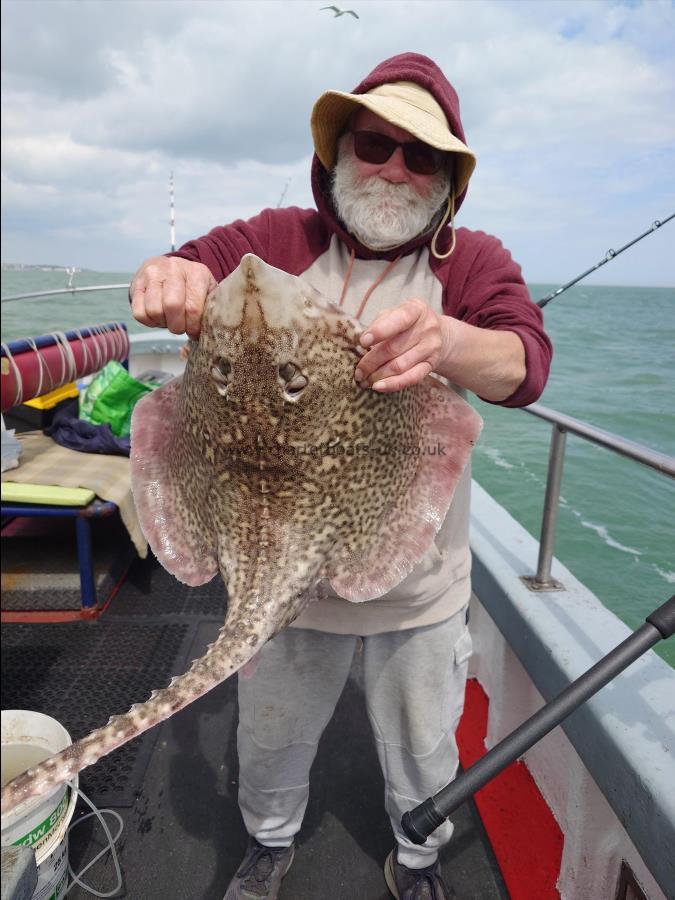 7 lb Thornback Ray by Brian