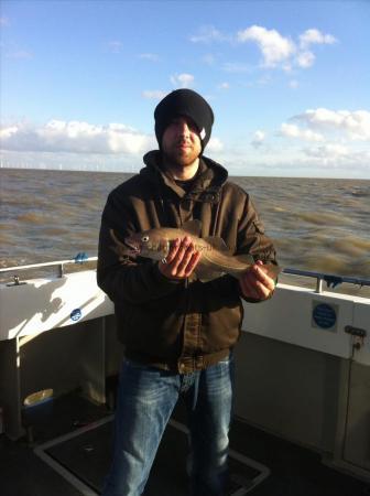 2 lb 8 oz Cod by Unknown