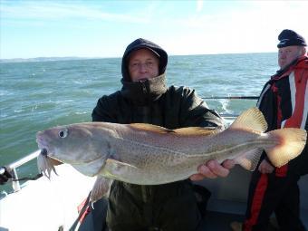 8 lb Cod by Paul Chant