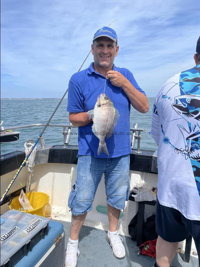 1 lb 12 oz Black Sea Bream by Unknown