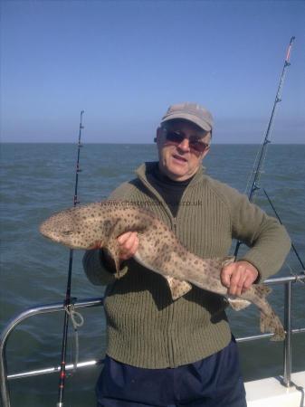 11 lb Bull Huss by graham hurley