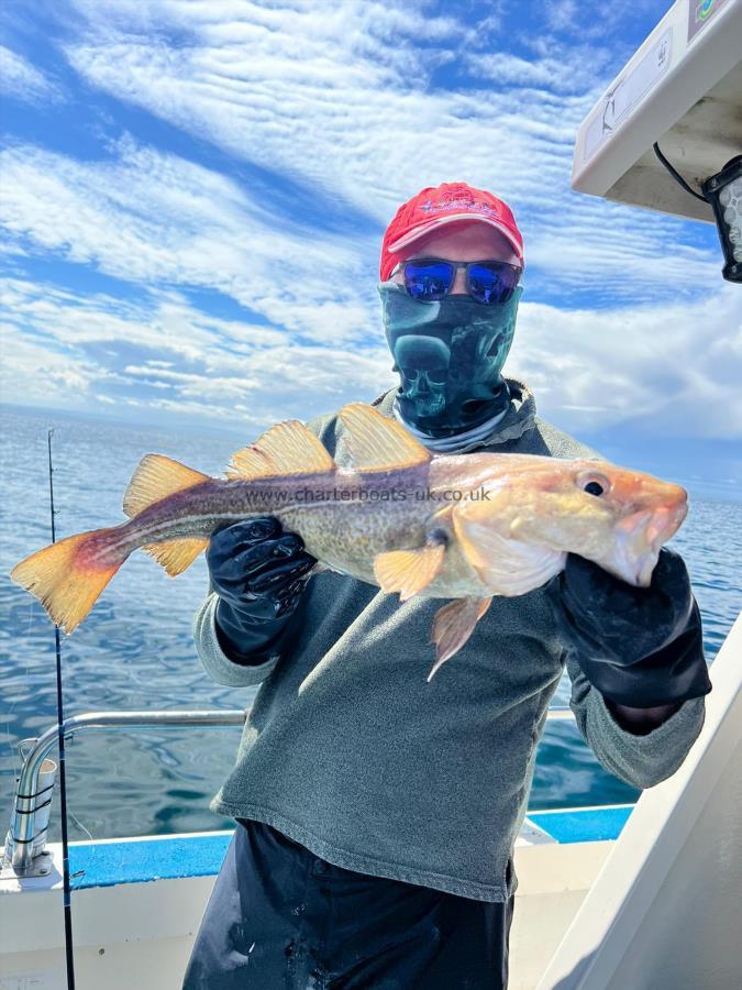 4 lb Cod by Unknown