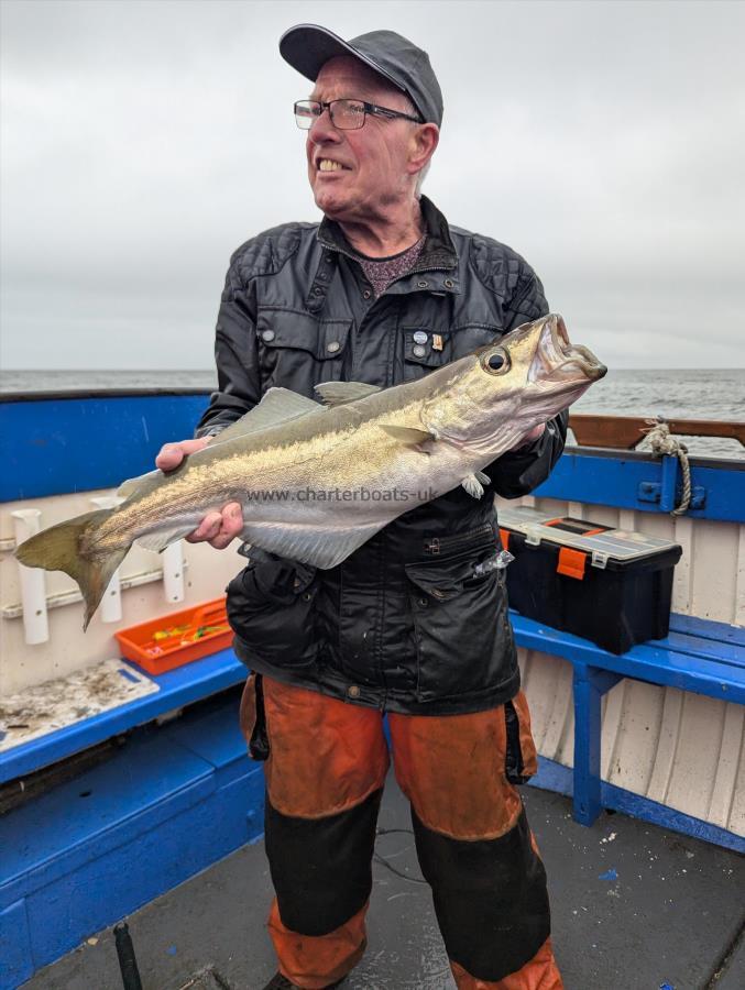 8 lb 3 oz Pollock by Unknown