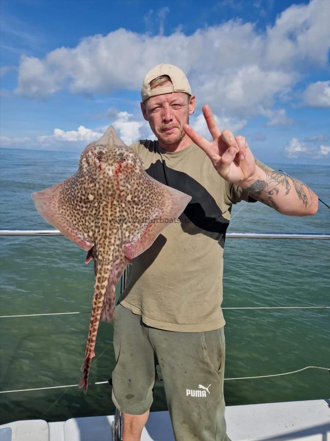 5 lb Thornback Ray by Unknown