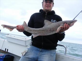 11 lb Starry Smooth-hound by Skipper