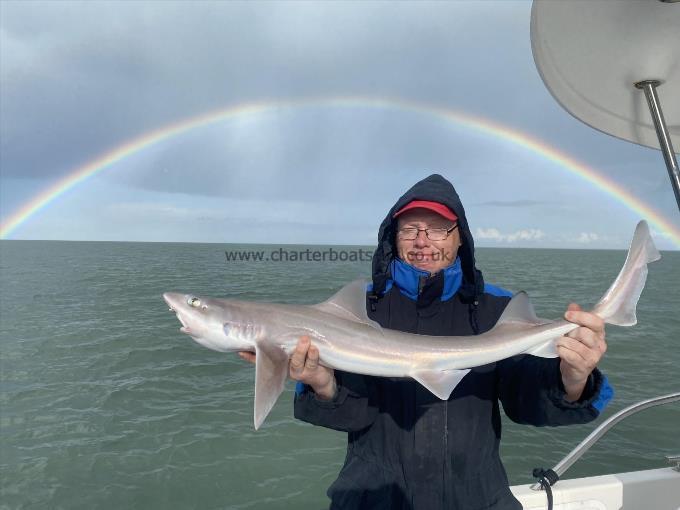 7 lb Smooth-hound by Unknown