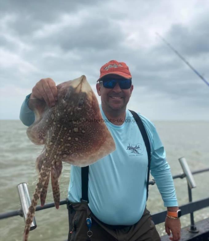 5 lb Thornback Ray by Unknown