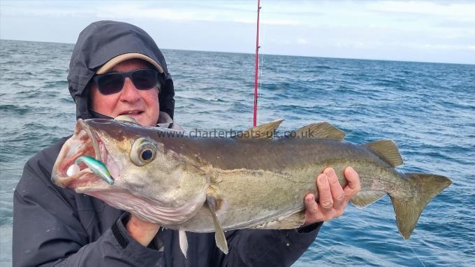 12 lb 8 oz Pollock by Warren