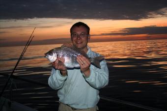 3 lb Black Sea Bream by Dan Ellis