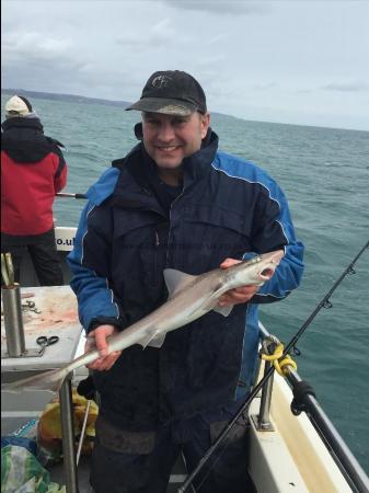 3 lb 5 oz Starry Smooth-hound by Unknown