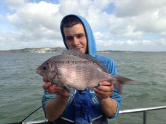 2 lb 10 oz Black Sea Bream by Unknown