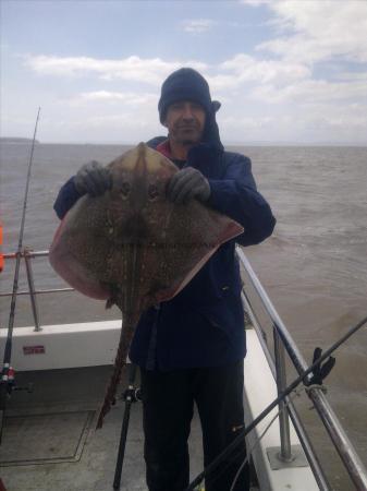 10 lb 8 oz Thornback Ray by neil williams