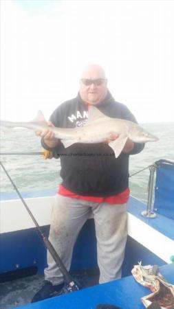 11 lb Smooth-hound (Common) by Darren