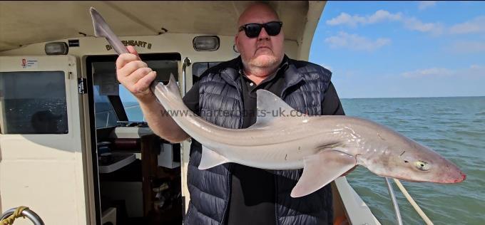 10 lb 12 oz Starry Smooth-hound by Dan