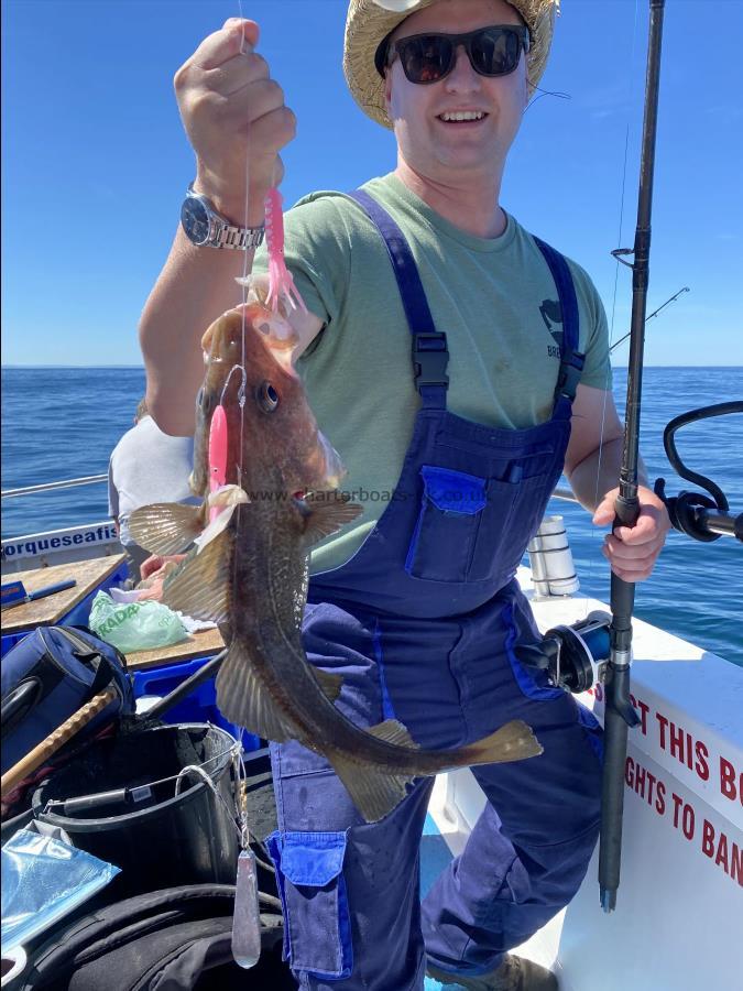 4 lb 2 oz Cod by Unknown