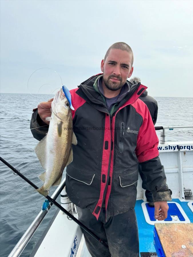 3 lb Pollock by Tim.