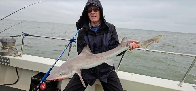 11 lb Smooth-hound (Common) by Tony