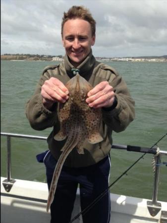 2 lb Spotted Ray by Unknown