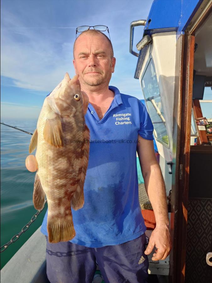 2 lb Ballan Wrasse by John