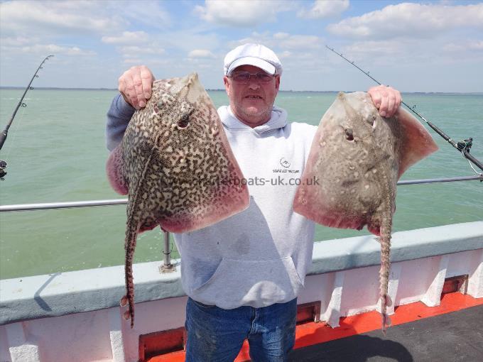 8 lb Thornback Ray by Chopper