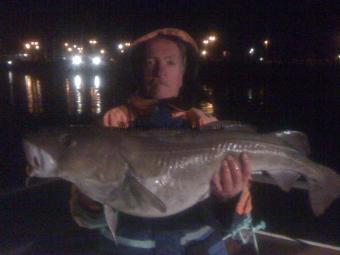 13 lb 4 oz Cod by Unknown