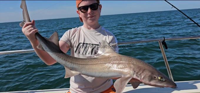 10 lb Starry Smooth-hound by Jack