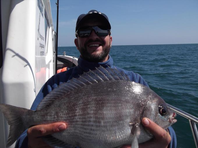 1 lb Black Sea Bream by Unknown