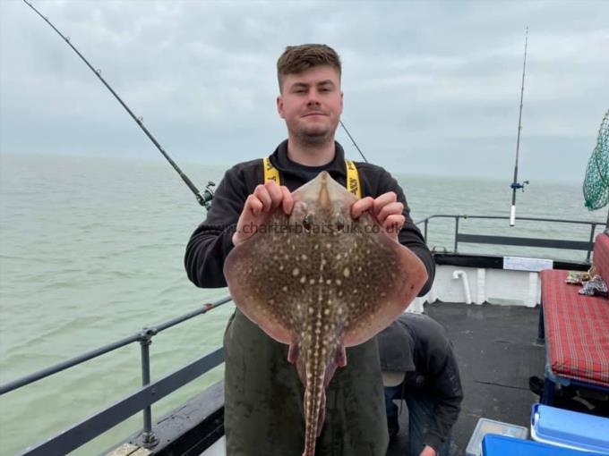 5 lb Thornback Ray by Unknown