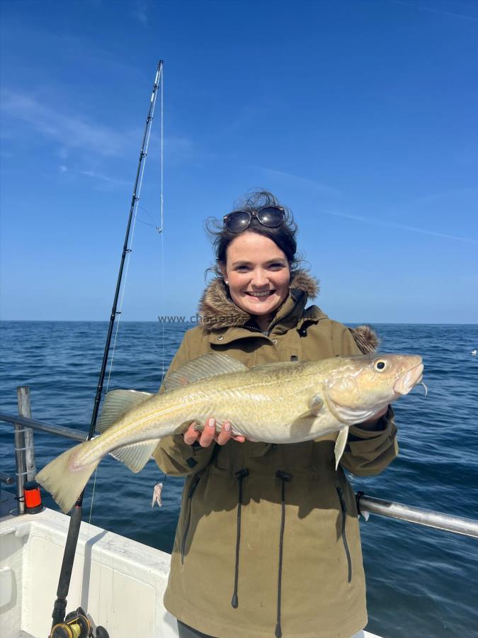 5 lb 12 oz Cod by Annie Helliwell