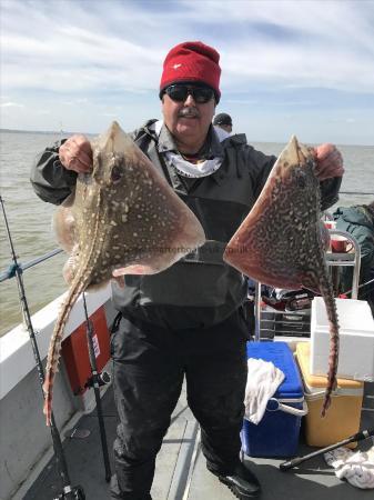 6 lb Thornback Ray by Unknown