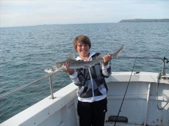 8 lb Starry Smooth-hound by Unknown