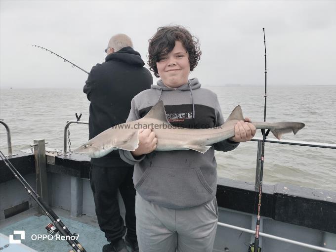 11 lb 8 oz Smooth-hound (Common) by Jack