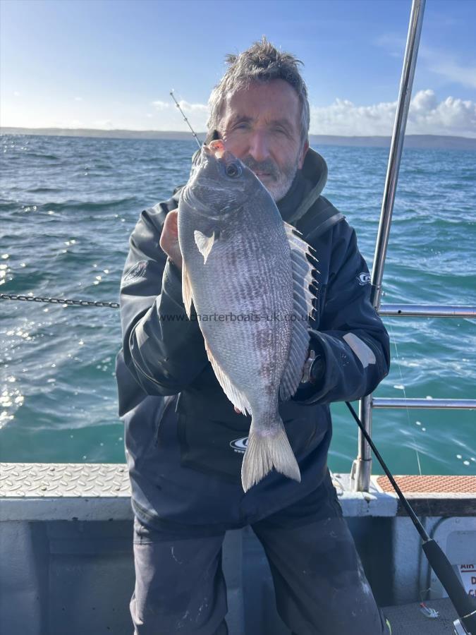 2 lb 8 oz Black Sea Bream by Unknown