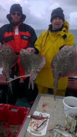 7 lb 6 oz Thornback Ray by Ken