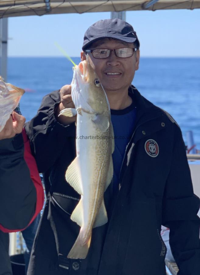 3 lb 4 oz Cod by Unknown