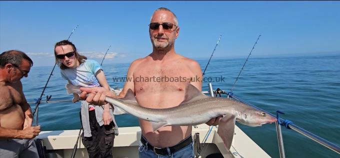 9 lb Starry Smooth-hound by Bill